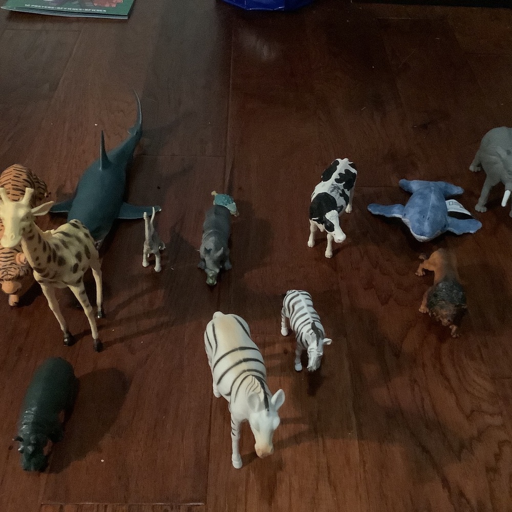 Alphabet animals